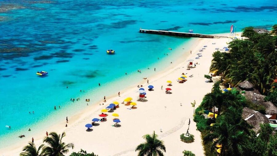 Marijuana Farm, Bamboo Rafting and Doctors Cave Beach Tour - Cannabis Farm Walk in Montego Bay: Seeding to Harvest Education