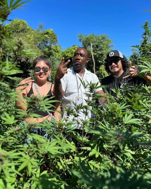 Marijuana Farm, Bamboo Rafting and Doctors Cave Beach Tour - Practical Tips for a Smoother Day at River and Beach