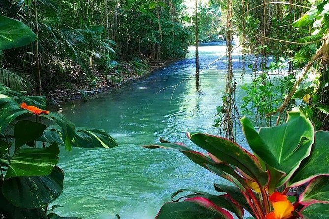 Martha Brae Rafting Adventure - Who This Martha Brae Rafting Experience Fits Best