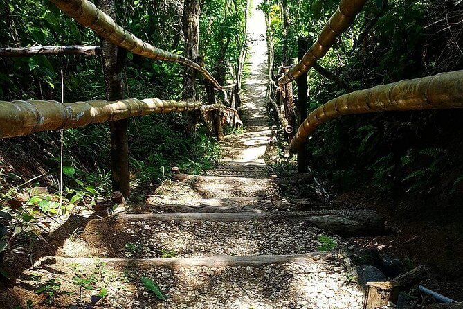Mayfield Falls, Blue Hole & Rick's Café Tours/Weed Farm option - Why This Combination Works in Montego Bay