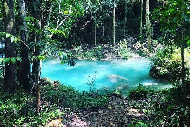 Mayfield Falls, Blue Hole & Rick's Café Tours/Weed Farm option - Blue Hole Mineral Spring: 22 Feet, Ladder Options, and Safety