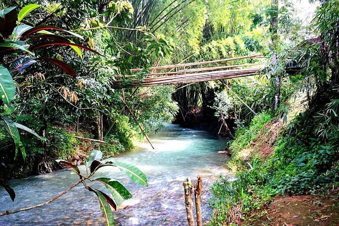 Mayfield Falls, Blue Hole & Rick's Café Tours/Weed Farm option - Pickup, Timing, and Small-Group Expectations