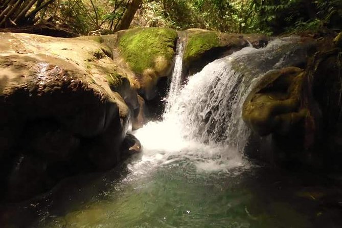 Mayfield Falls nature walk - Key highlights you will feel right away