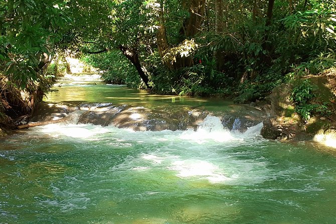 Mayfield Falls nature walk - Why Mayfield Falls feels personal on this half-day private trip