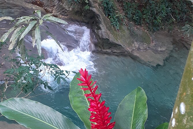 Mayfield Falls nature walk - River shoes, swim gear, and staying steady on the rocks