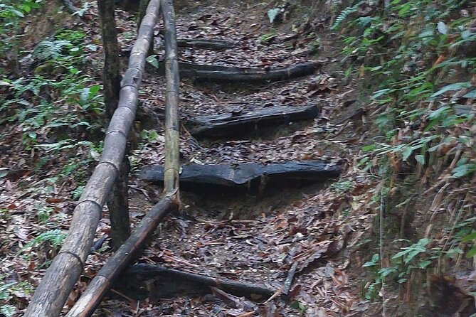 Mayfield Falls nature walk - How the pace fits different travel styles