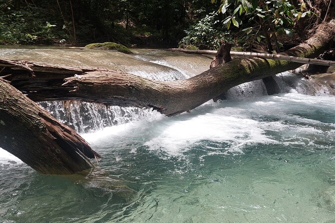 Mayfield Falls nature walk - Should you book Mayfield Falls nature walk?