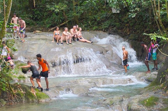 Mayfield Falls Private Tour - Who This Tour Fits Best (And Who Might Want a Different Plan)