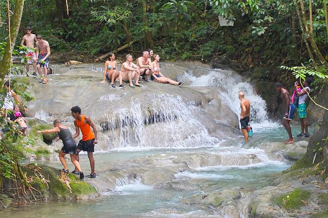 Mayfield Falls Tour with Lunch, drink, Entry & Transp(Original) - Key Highlights You Will Actually Notice