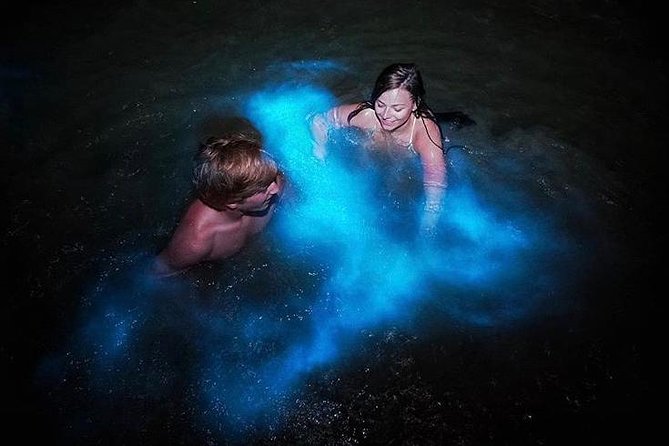 Mesmerizing Luminous Lagoon (Glistening Waters) Night Tour - The boat ride on the luminous waters: the main event