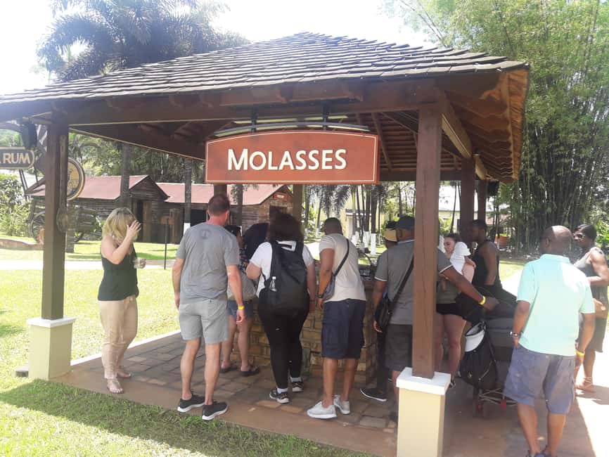 Montego Bay: 8-Hour Appleton & Pelican Bar Return Transfer - Appleton Estate: From Sugar Cane to Rum Samples, With Paz the Donkey
