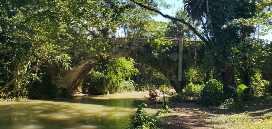 Montego Bay: Bamboo Raft Cruise on the Great River - The Lethe stop: street food, shopping, and a guided story stop