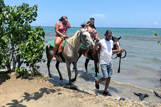 Montego Bay Beach Horseback Riding Tour - What the Montego Bay Beach Horseback Ride Really Feels Like