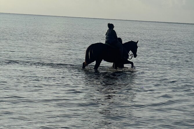 Montego Bay Beach Horseback Riding Tour - Safety and guide style: why Chris, King, and Amal get praised