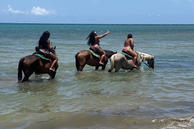 Montego Bay Beach Horseback Riding Tour - Price and value: does $80 make sense for Montego Bay?