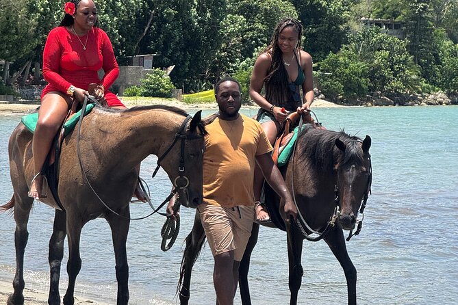 Montego Bay Beach Horseback Riding Tour - Who should book this tour, and who might rethink it
