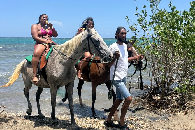 Montego Bay Beach Horseback Riding Tour - Practical tips that will make your ride smoother