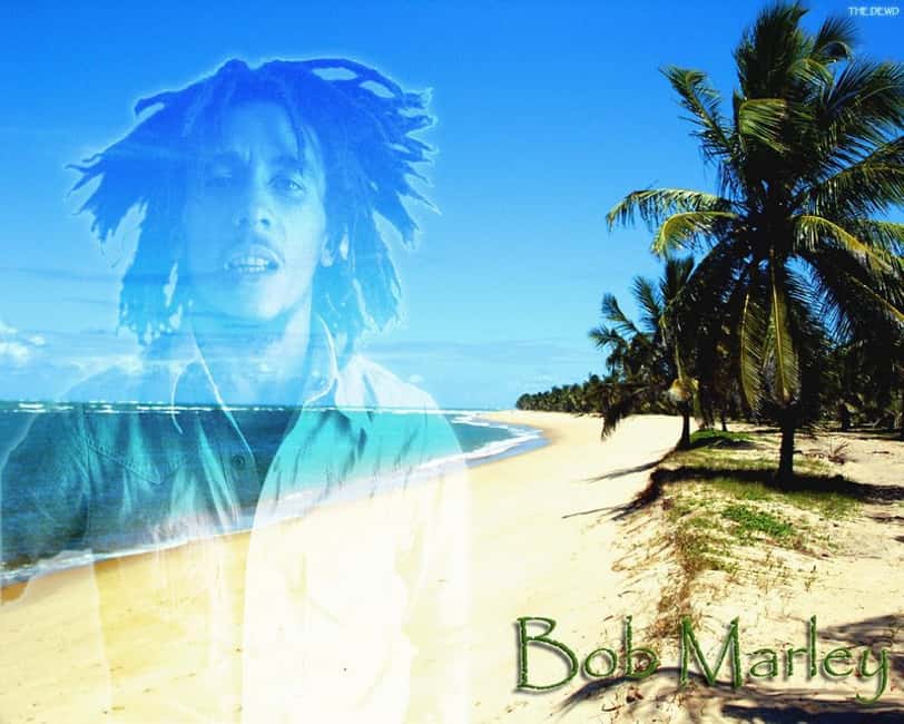 Montego Bay: Bob Marley Tour to 9 Mile, St. Ann - Key highlights to know before you go