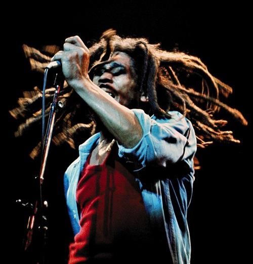 Montego Bay: Bob Marley Tour to 9 Mile, St. Ann - Guides and the small extras that make a difference