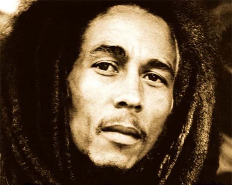 Montego Bay: Bob Marley Tour to 9 Mile, St. Ann - Private pickup from Montego Bay, and how the 7-hour plan stays manageable