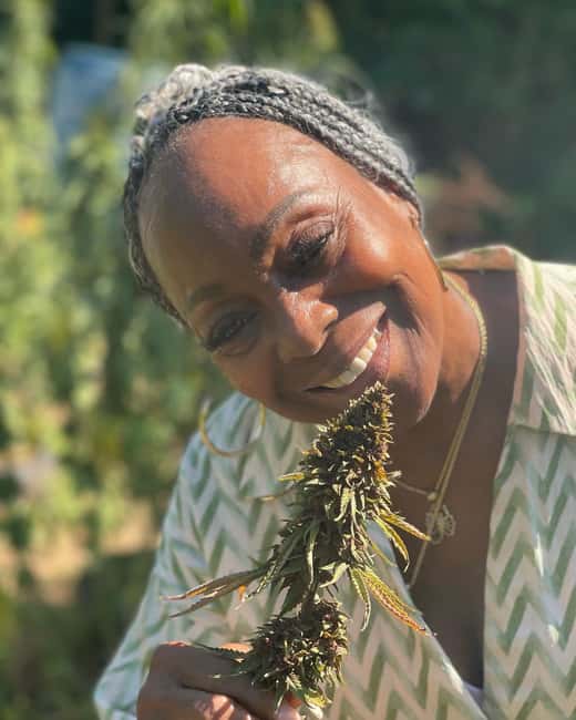 Montego Bay: Cannabis Farm, Bamboo Rafting, & Foot Massage - Who this private group tour is best for