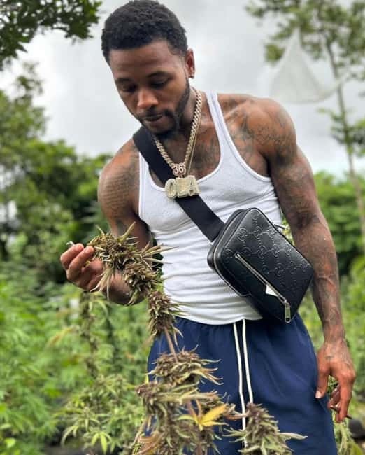 Montego Bay: Cannabis Farm, Bamboo Rafting, & Foot Massage - Getting to and from your hotel without the headache