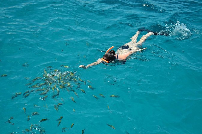 Montego Bay Catamaran Cruise and Snorkeling Tour from Falmouth - Margaritaville stop and the water slide: fun, but not for everyone