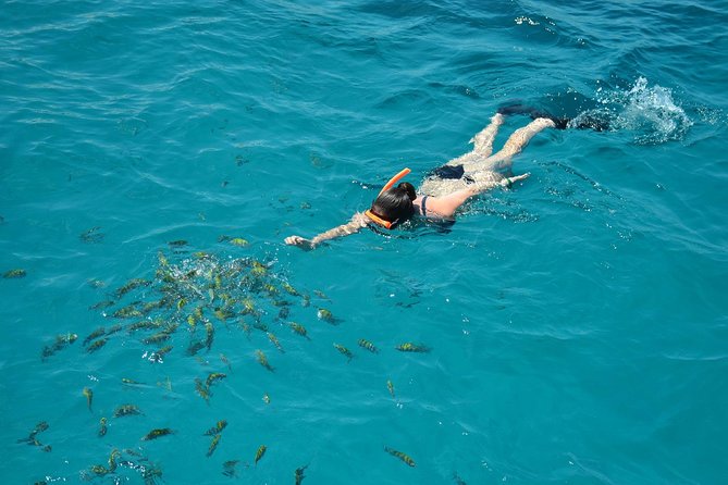 Montego Bay Catamaran Cruise and Snorkeling Tour from Falmouth - Food, snacks, and staying sane in the sun