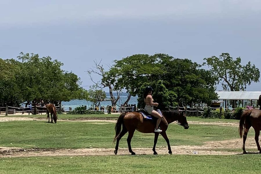 Montego Bay: Day Trip with Zipline, ATV, and Horseback Ride - Key things to know before you go