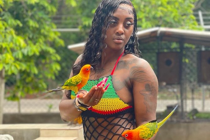 Montego Bay Exotic Herbs, Birds and Animals Interaction Tour - Ironshore: the nature stop that mixes animals with Jamaica’s farming life