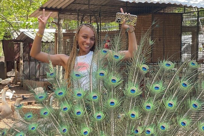 Montego Bay Exotic Herbs, Birds and Animals Interaction Tour - The herb and crop activity: more than a quick stop