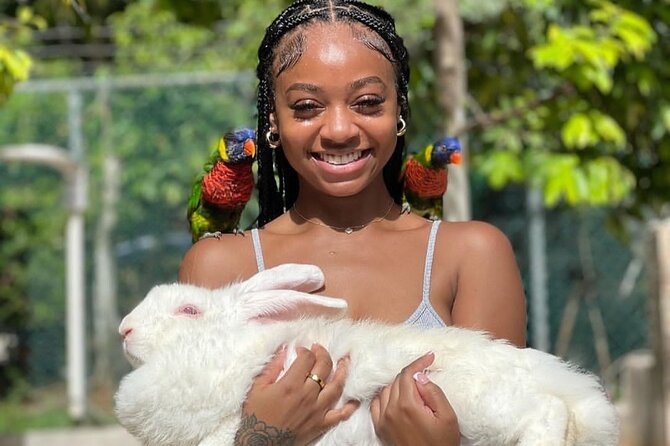 Montego Bay Exotic Herbs, Birds and Animals Interaction Tour - Why the $95 price can feel fair for this exact format