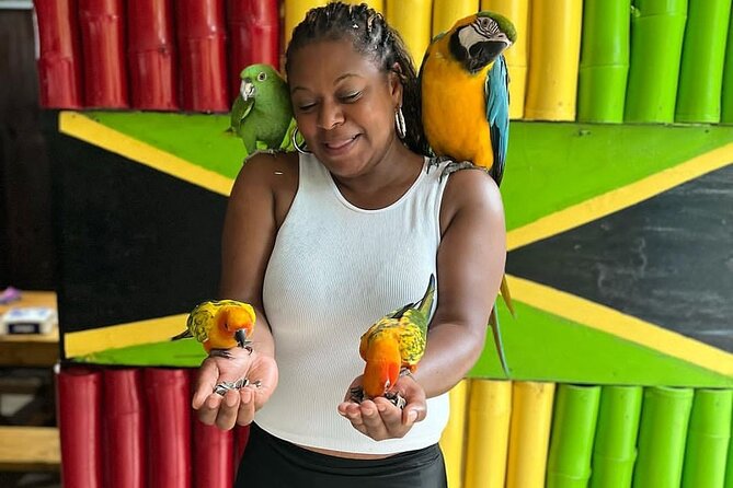 Montego Bay Exotic Herbs, Birds and Animals Interaction Tour - Pickup, timing, and the group-size reality