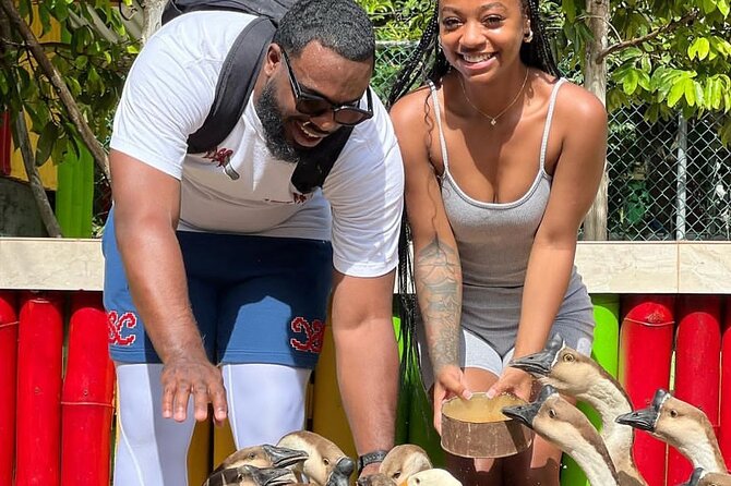 Montego Bay Exotic Herbs, Birds and Animals Interaction Tour - Who this tour suits best in Montego Bay