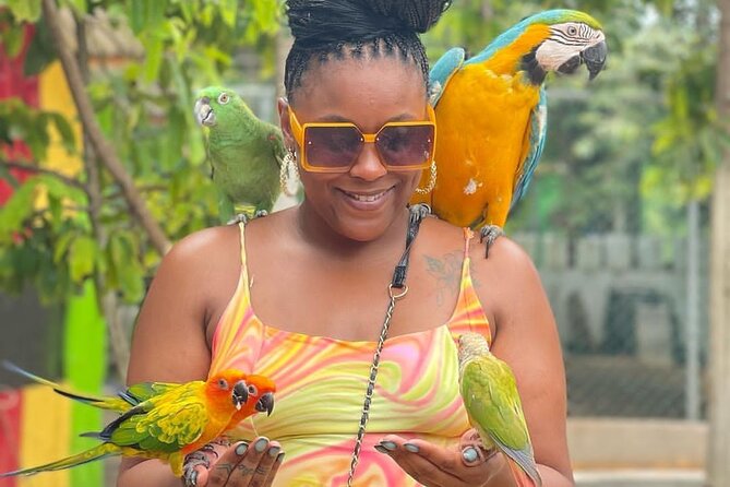 Montego Bay Exotic Herbs, Birds and Animals Interaction Tour - Exotic birds and animal feeding: what to expect in real time