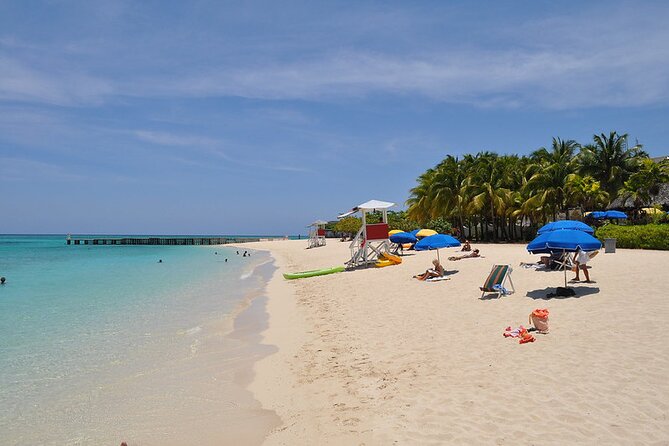 Montego Bay Highlights From Montego Bay Hotels - Hip Strip shopping on Jimmy Cliff Boulevard: bargain time with guidance