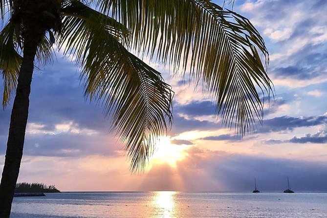 Montego Bay Highlights Tour from Montego Bay - Value check: why $96.42 per person can make sense