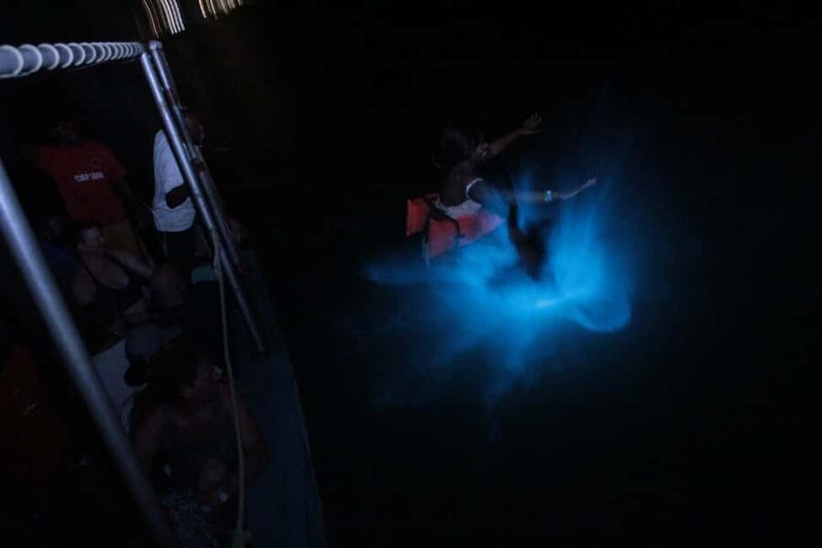 Montego Bay: Luminous Lagoon Evening Boat Tour - Entering the Luminous Lagoon at night, what you will actually see