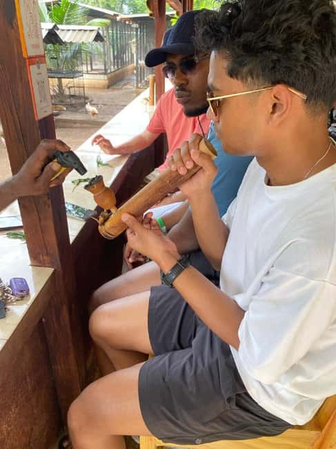 Montego Bay: Marijuana Farm and Bird Sanctuary Tour - Getting Picked Up in Montego Bay (and Finding the Right Vehicle)