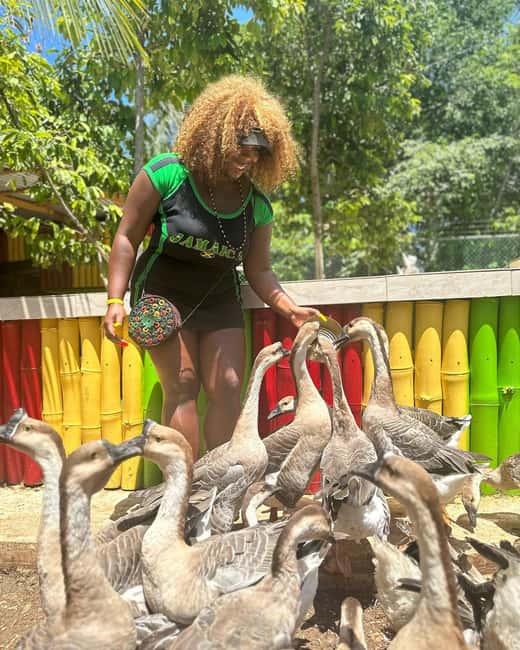 Montego Bay: Marijuana Farm and Bird Sanctuary Tour - Timing and What the $87 Price Really Covers