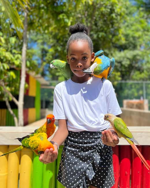 Montego Bay: Marijuana Farm and Bird Sanctuary Tour - Who This Tour Suits (and Who Should Think Twice)
