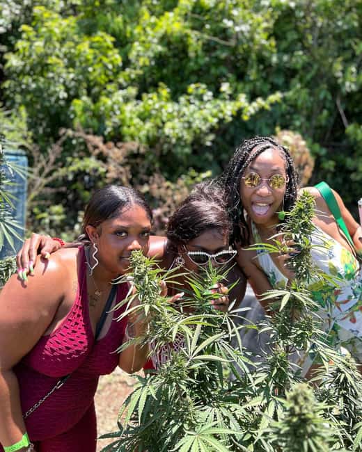 Montego Bay: Marijuana Farm and Bird Sanctuary Tour - Smoking a Weed Chalice Pipe: Included, but Not for Everyone