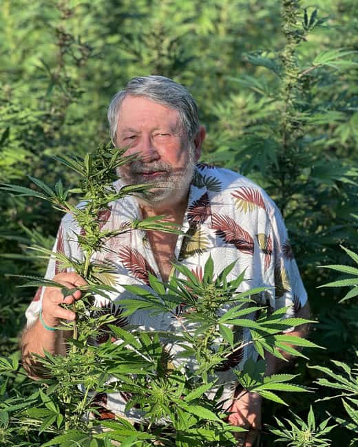 Montego Bay: Marijuana Farm Private Tour with Transportation - Key things to know before you go
