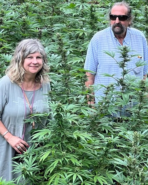 Montego Bay: Marijuana Farm Private Tour with Transportation - How the farm actually grows: soil, irrigation, and pest control