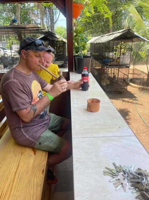 Montego Bay: Marijuana Farm Private Tour with Transportation - Culture, religion, and modern uses: why the context matters