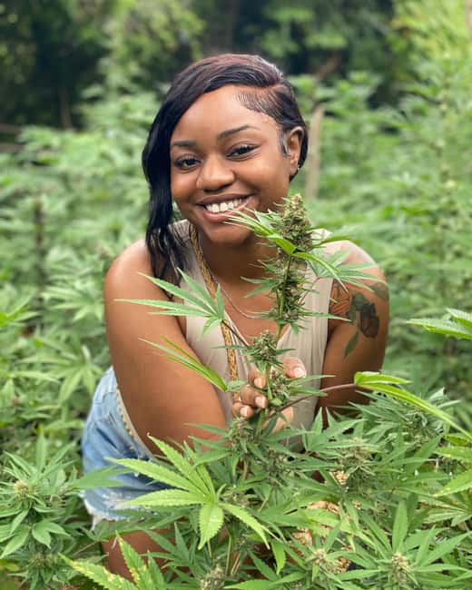 Montego Bay Marijuana Farm Tour - What seeding to harvest really means when you walk the rows