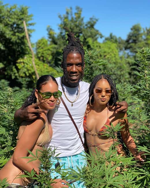 Montego Bay Marijuana Farm Tour - Photos in the green: turning a quick visit into a real memory