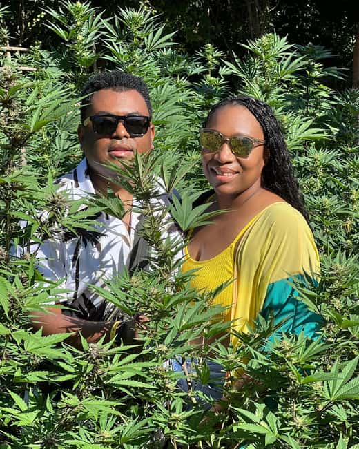 Montego Bay Marijuana Farm Tour - Guide-led culture context: Rastafari, medicinal uses, and the human side