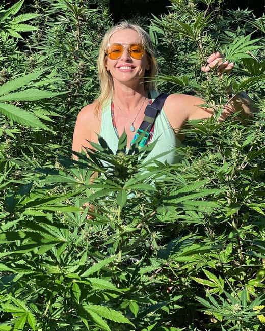 Montego Bay Marijuana Farm Tour - Transport reality check: comfort and safety on the way there