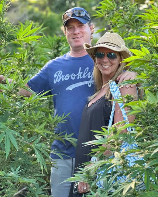 Montego Bay Marijuana Farm Tour - Price and value: is $140 for a farm walk worth it?